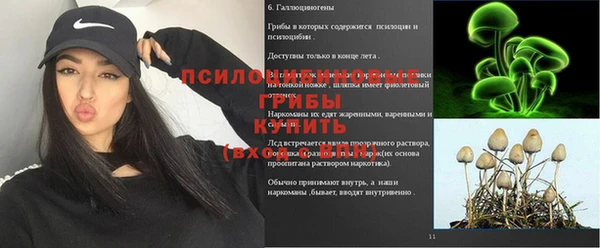 первитин Козельск