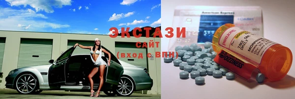 крисы Корсаков
