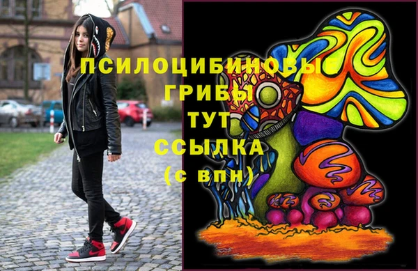 MDMA Козловка