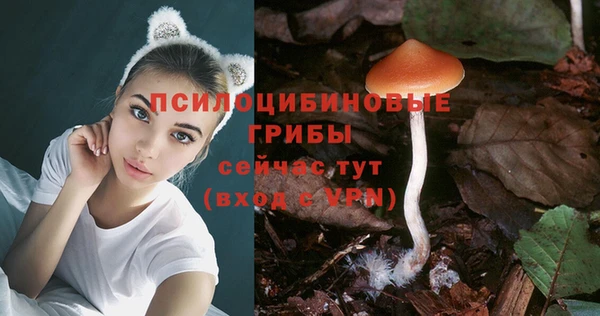 jwh Кодинск