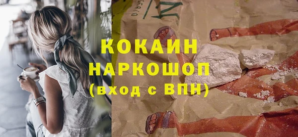 крисы Корсаков