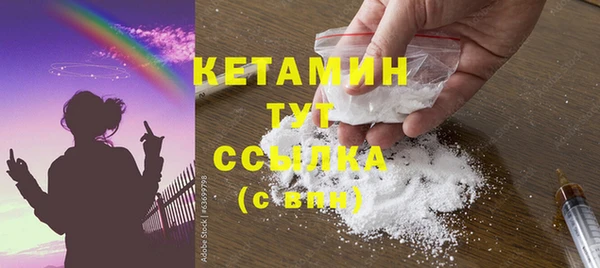 крисы Корсаков