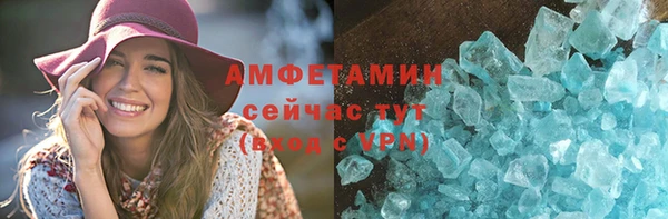 крисы Корсаков