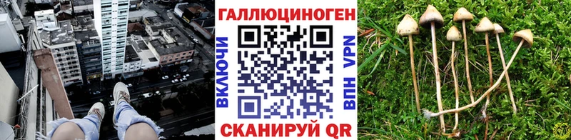 Купить закладки  Бокситогорск  Галлюциногенные грибы Cubensis 